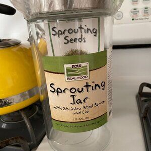 Large 1/2 Gallon Sprouting Jar - Clear Glass, Stainless Steel Lid, by Now Foods